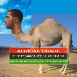 Drake-Camel