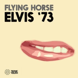 Flying Horse ALBUM ART