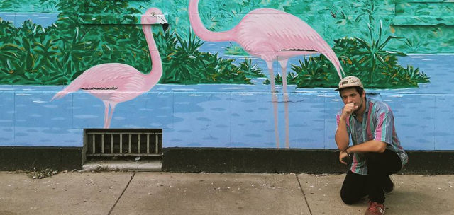 Flamingosis releases 'Flight Fantastic' ahead of upcoming album