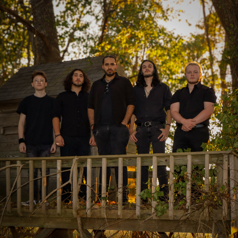 The Meatbees