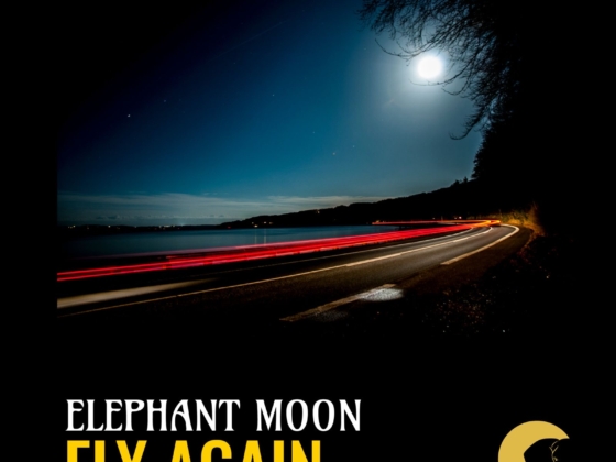 Elephant Moon
