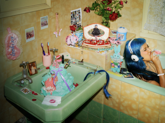 Ecca Vandal album cover