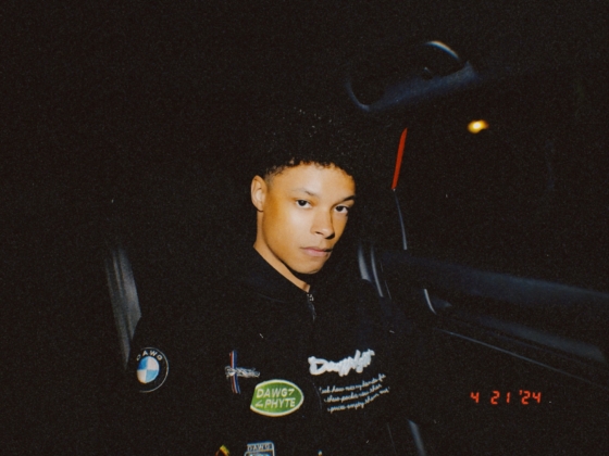 North Shy