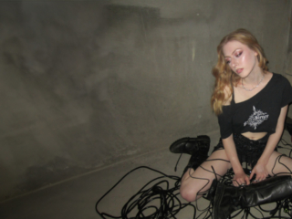 Dina Dove